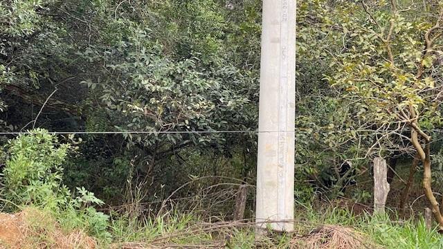 Terreno, 10000 m² - Foto 2