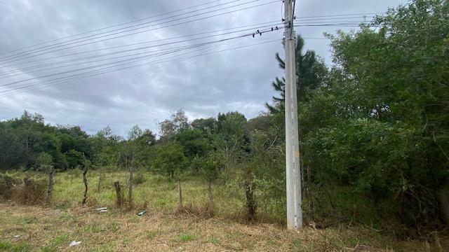 Terreno, 10000 m² - Foto 7