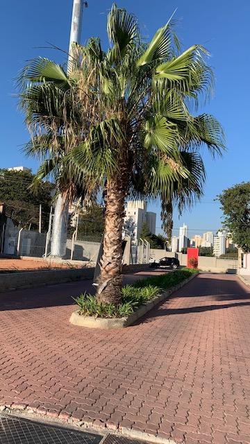 Flat/Apart Hotel, 1 quarto, 50 m² - Foto 4