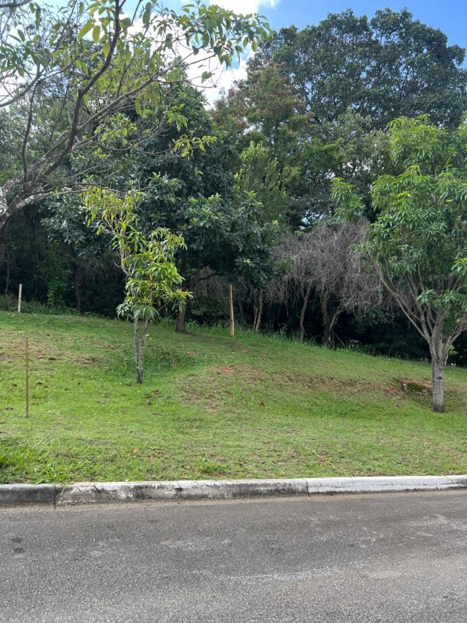 Terreno, 300 m² - Foto 6