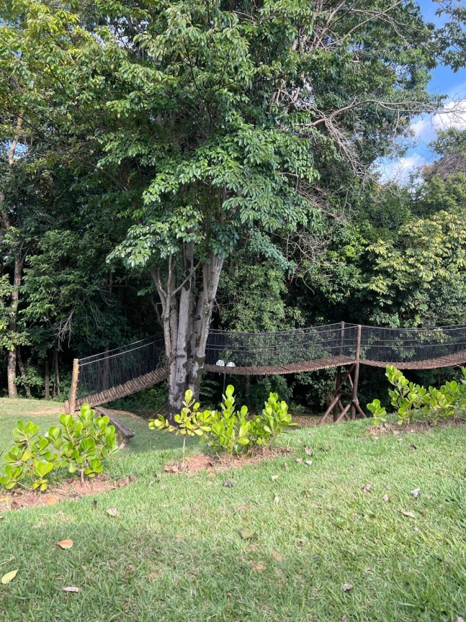 Terreno, 300 m² - Foto 10