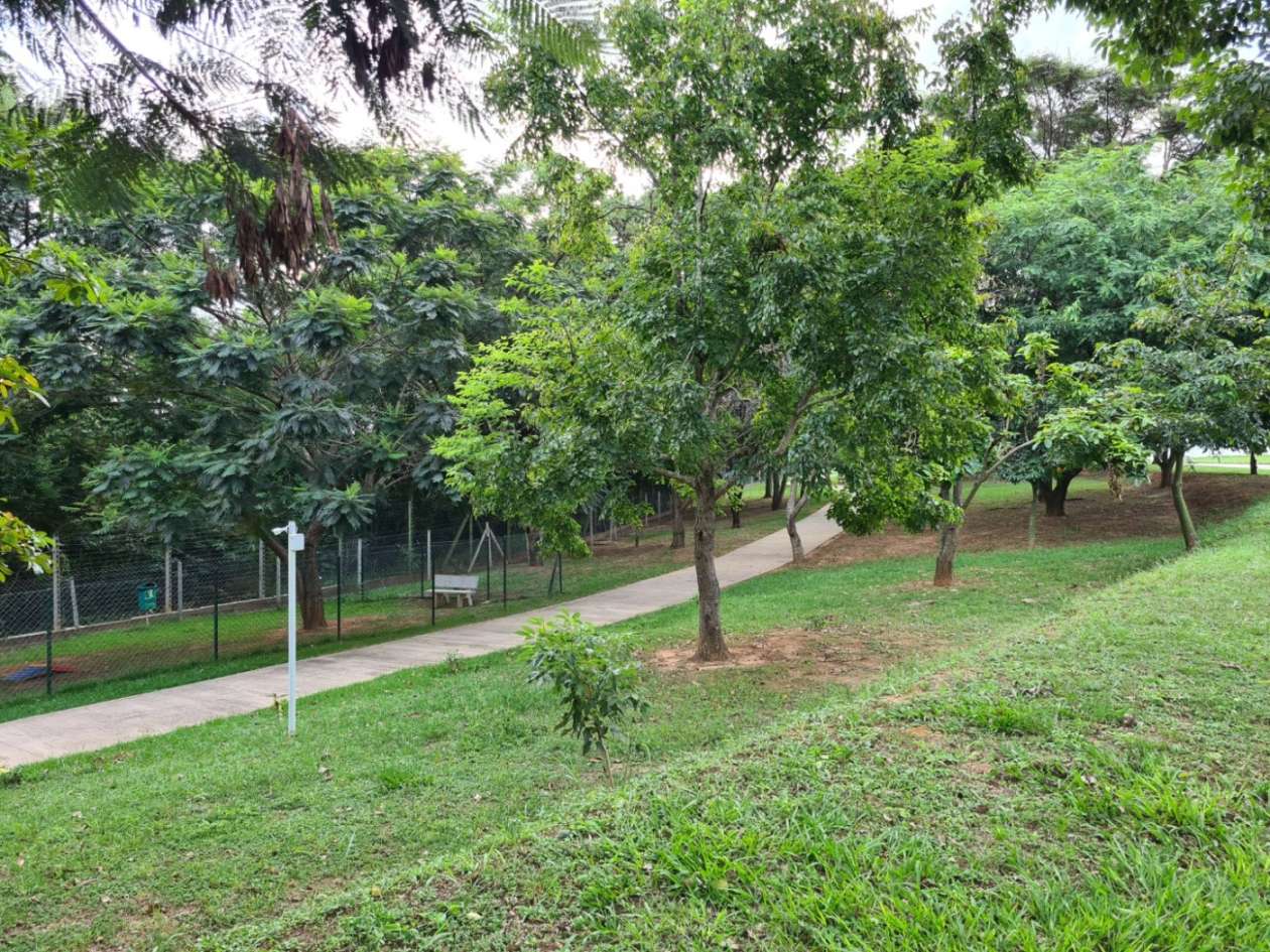 Terreno, 160 m² - Foto 31