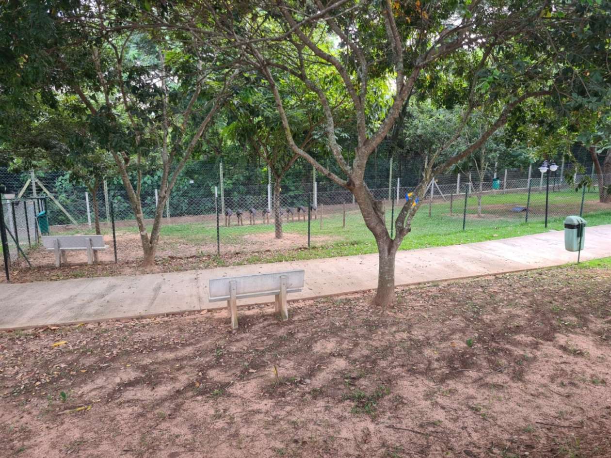 Terreno, 160 m² - Foto 32