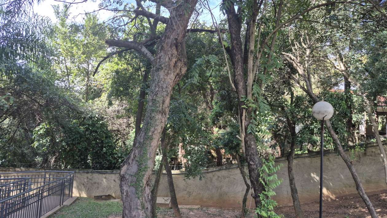 Apartamento, 2 quartos, 49 m² - Foto 5