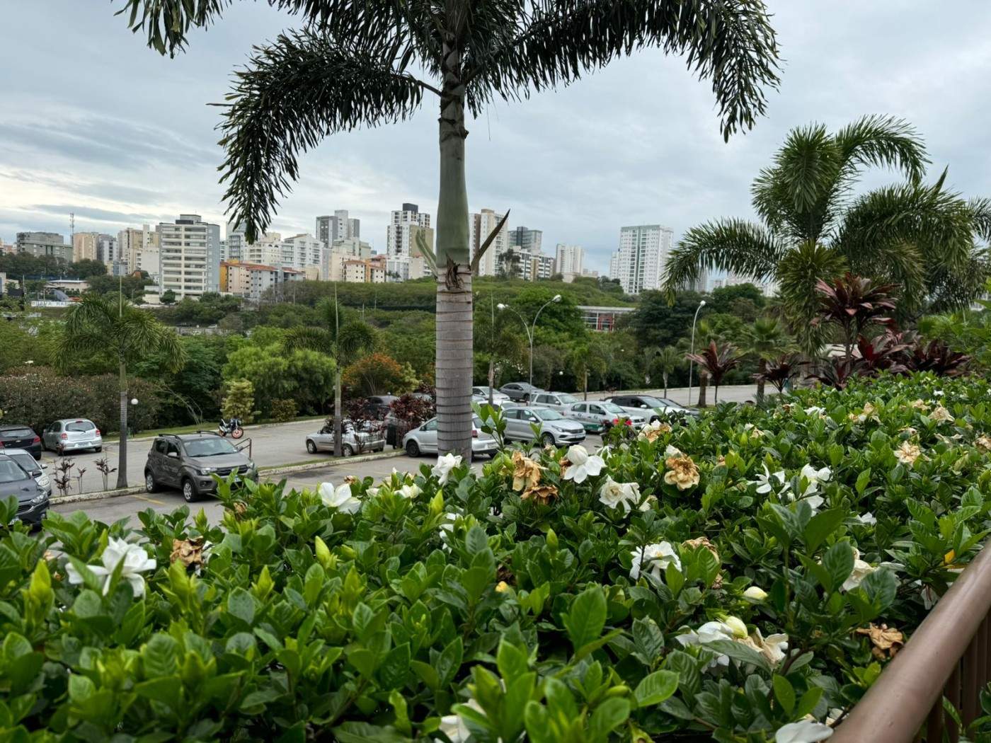 Apartamento, 2 quartos, 49 m² - Foto 1