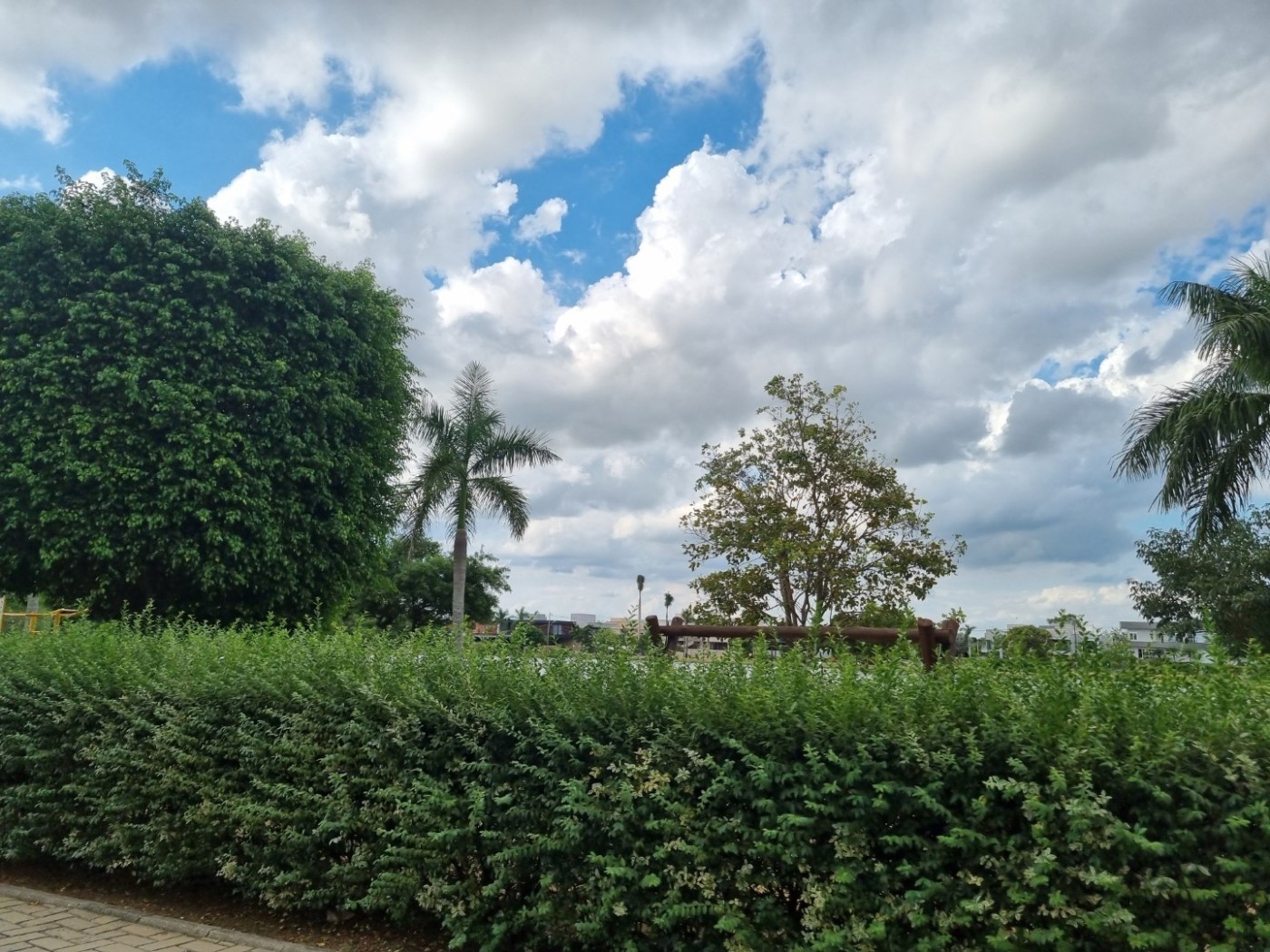 Terreno, 250 m² - Foto 16