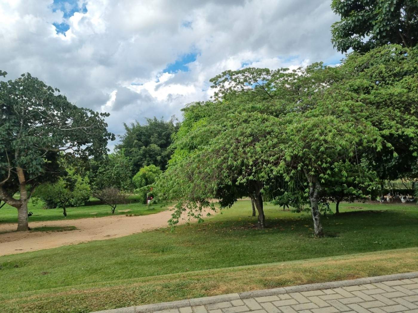 Terreno, 250 m² - Foto 24