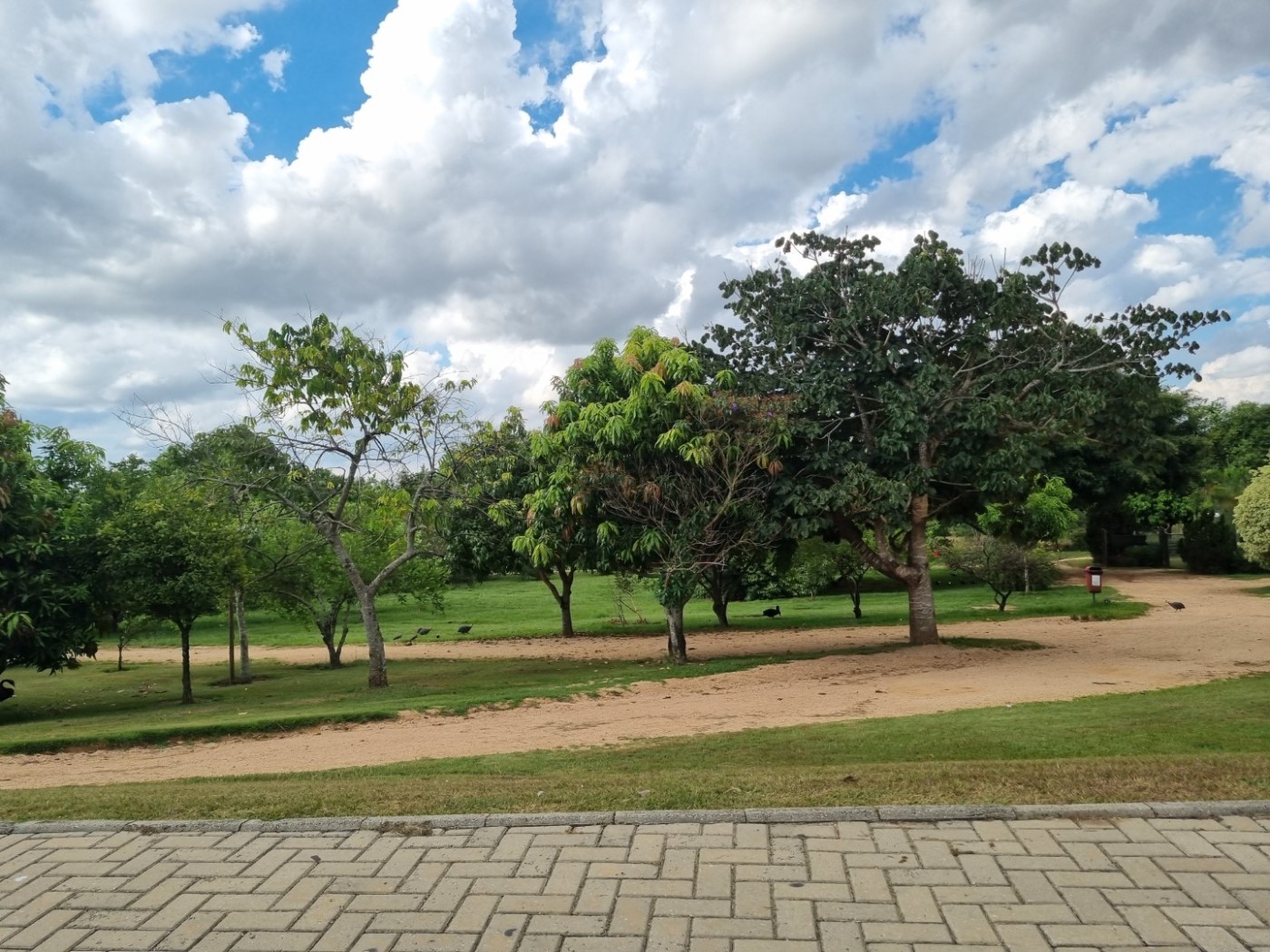 Terreno, 250 m² - Foto 25