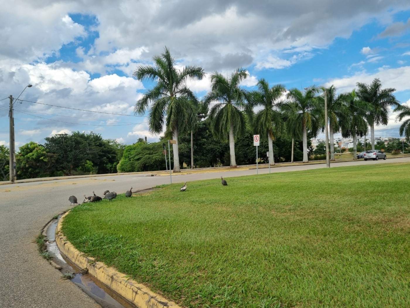 Terreno, 250 m² - Foto 26