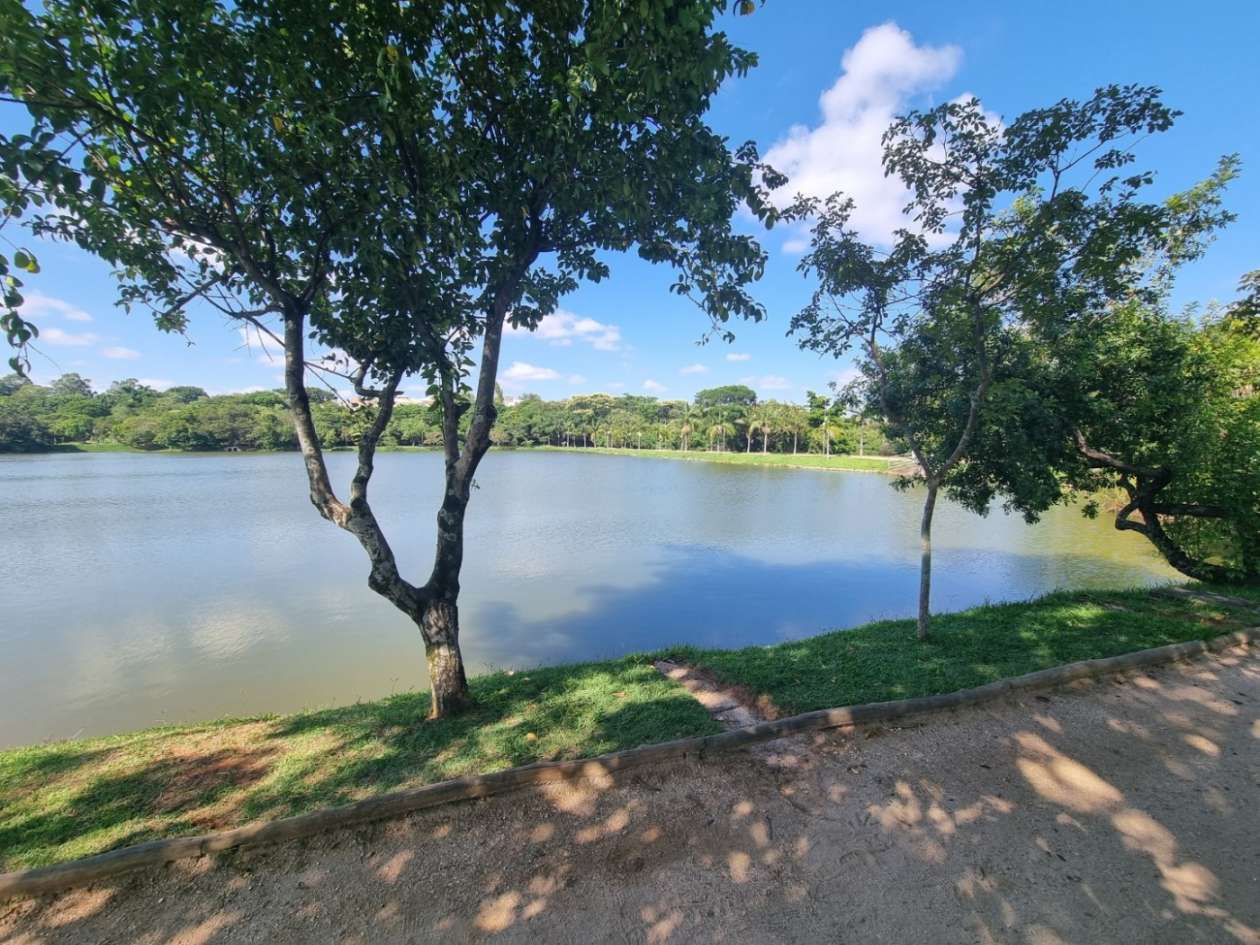 Terreno, 486 m² - Foto 7