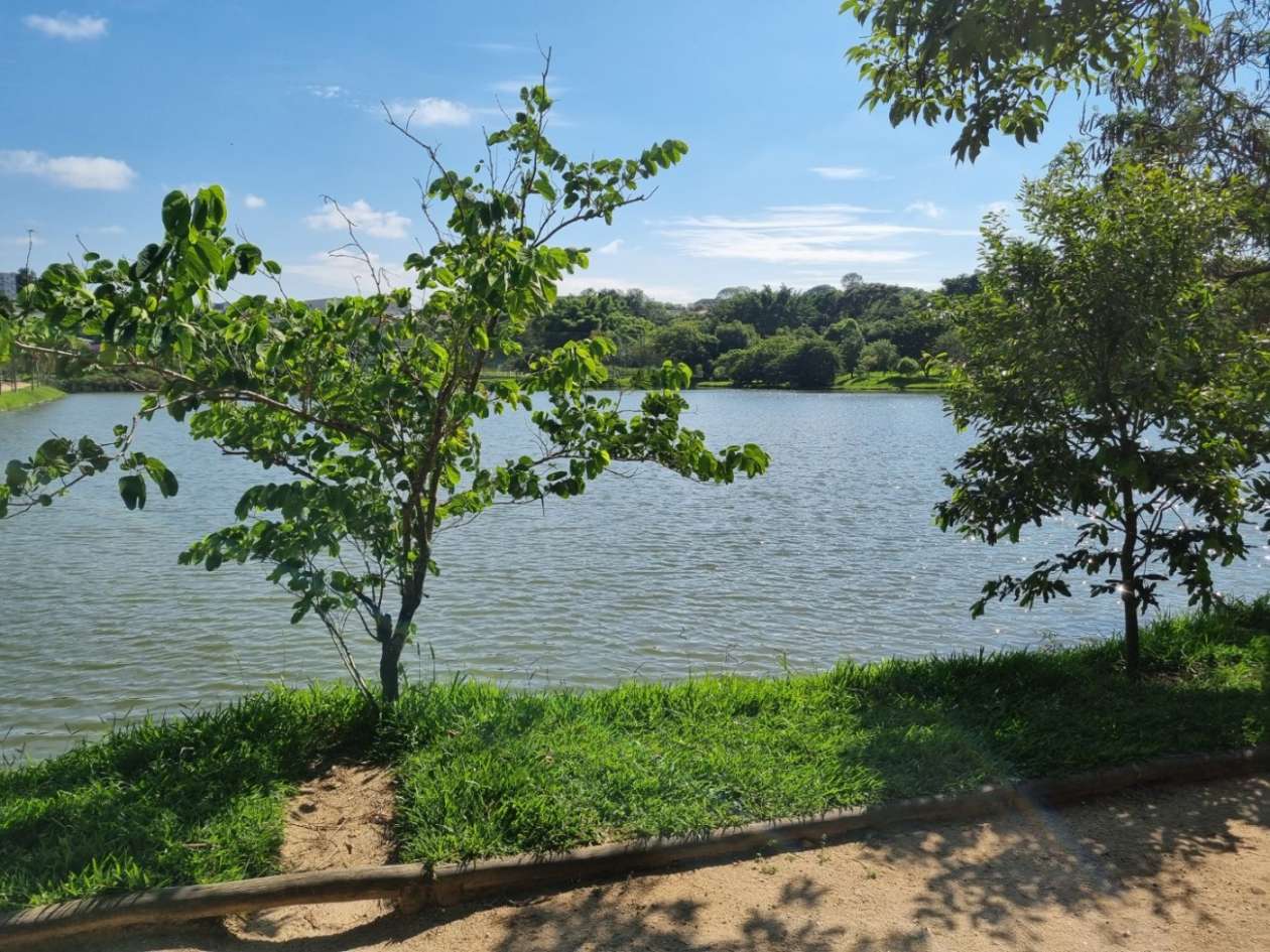 Terreno, 486 m² - Foto 17