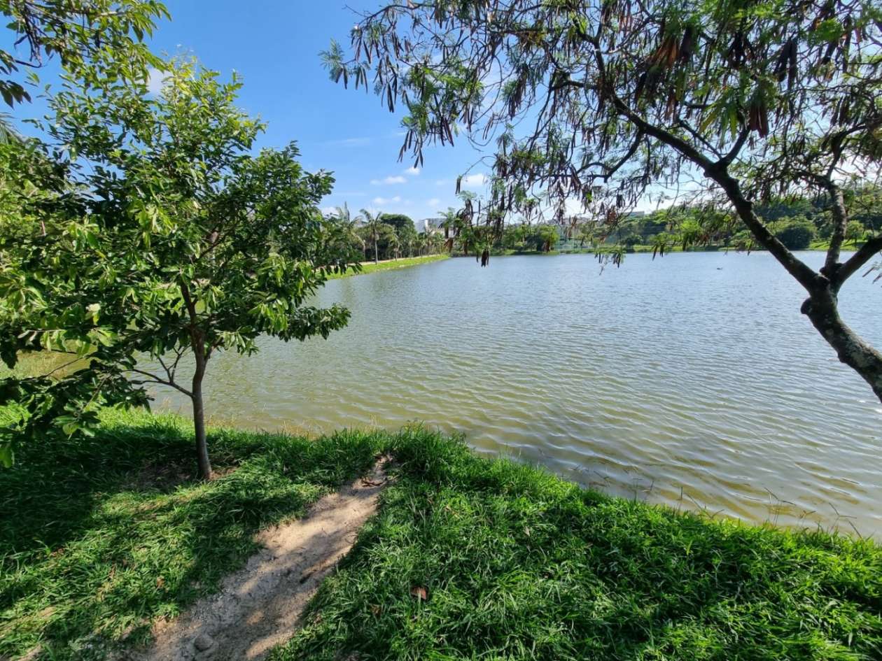 Terreno, 486 m² - Foto 19