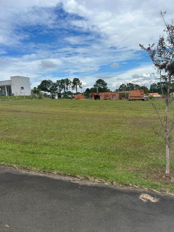 Terreno, 1040 m² - Foto 3